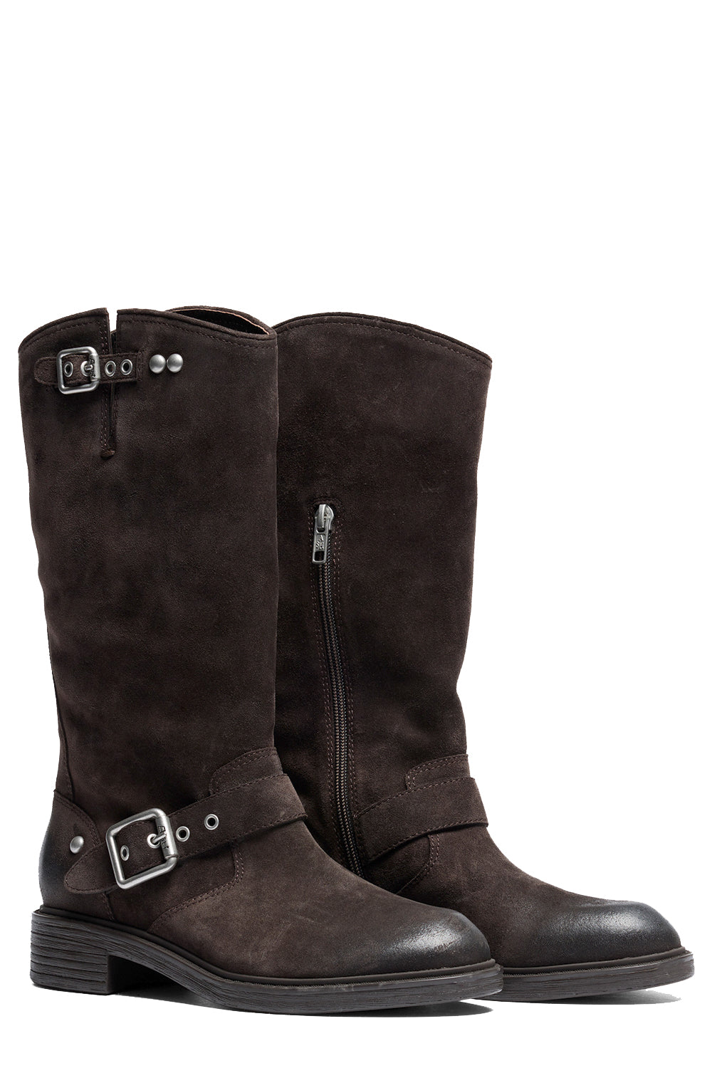 ASH Stivali Freesia in suede