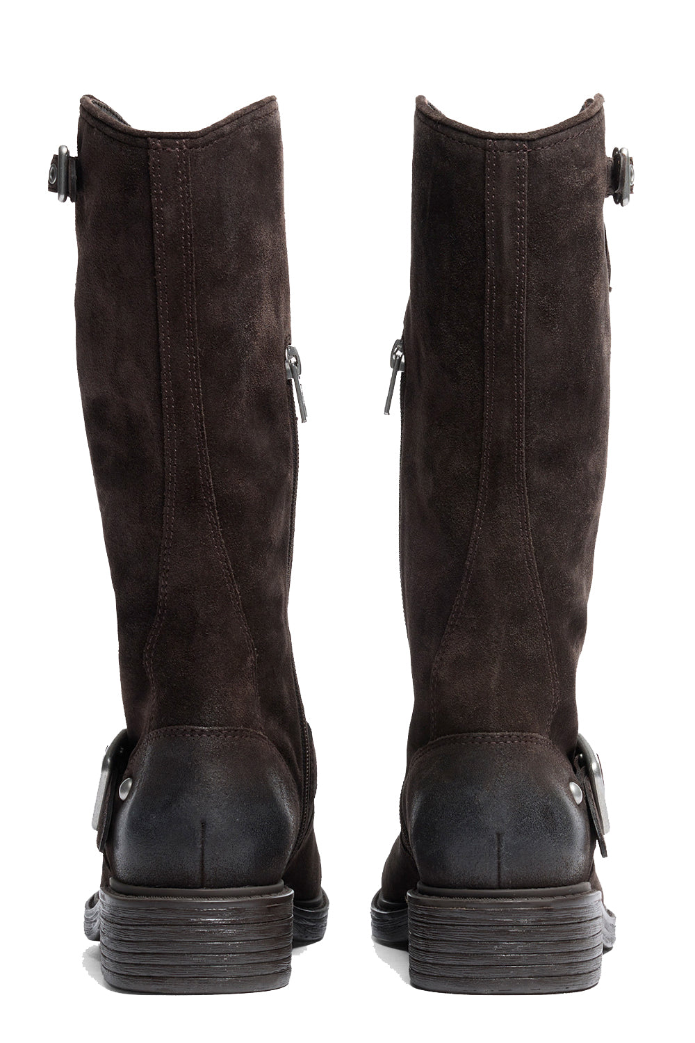 ASH Stivali Freesia in suede