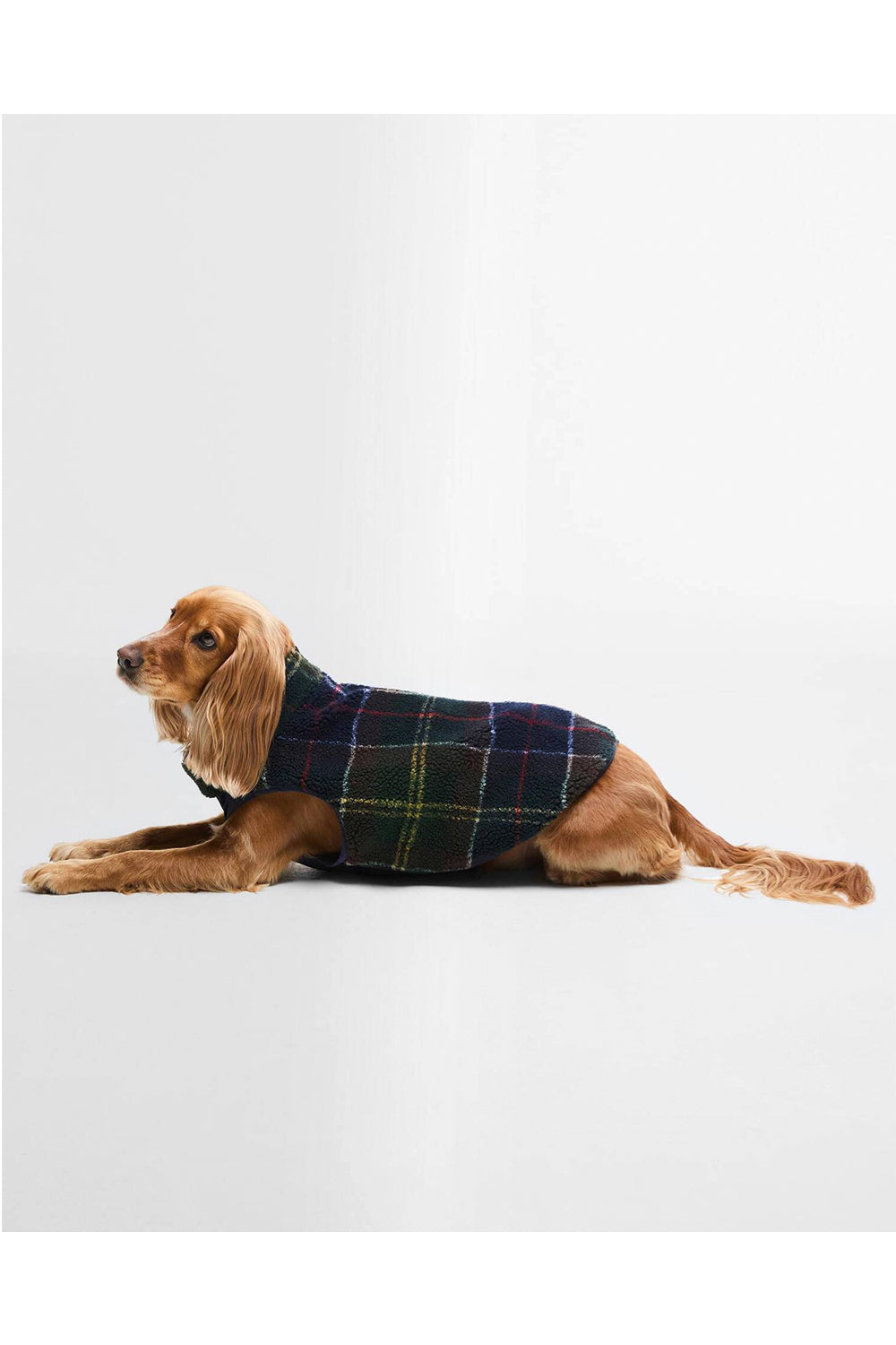 BARBOUR Cappottino per cani reversibile Field