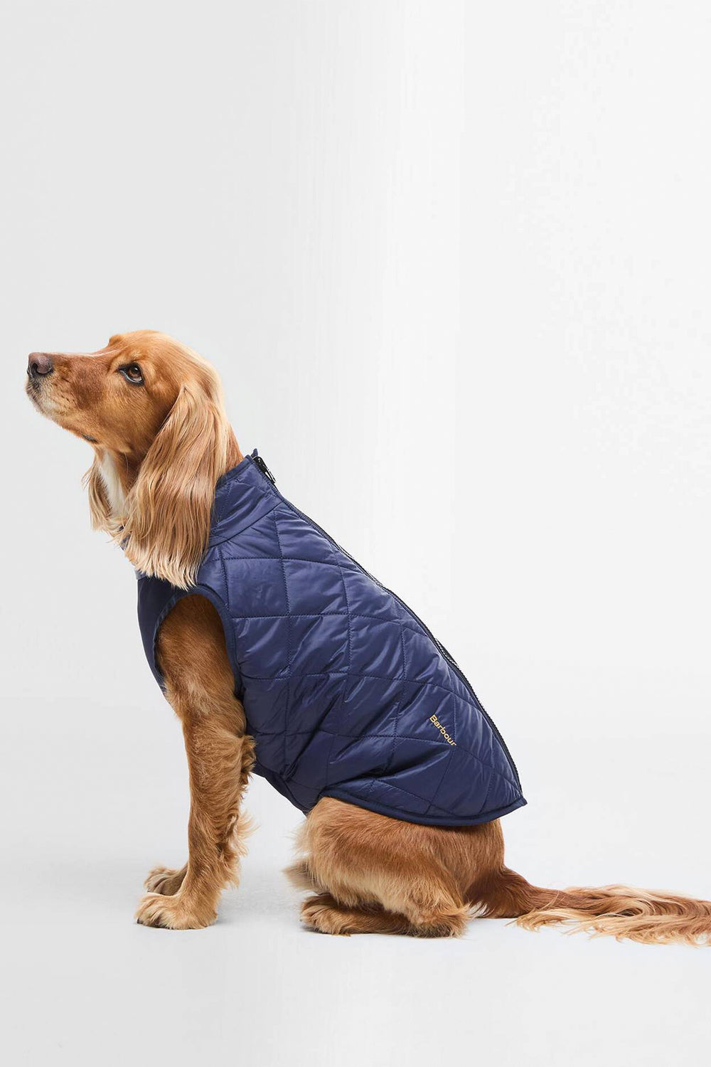 BARBOUR Cappottino per cani reversibile Field