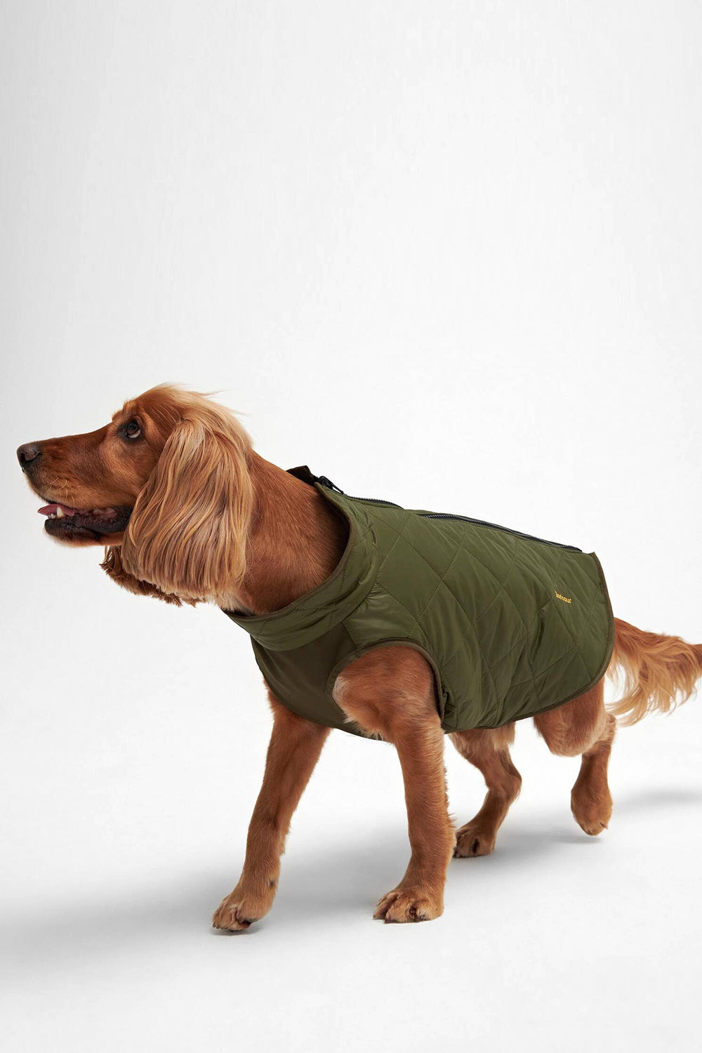 BARBOUR Cappottino trapuntato reversibile per cani