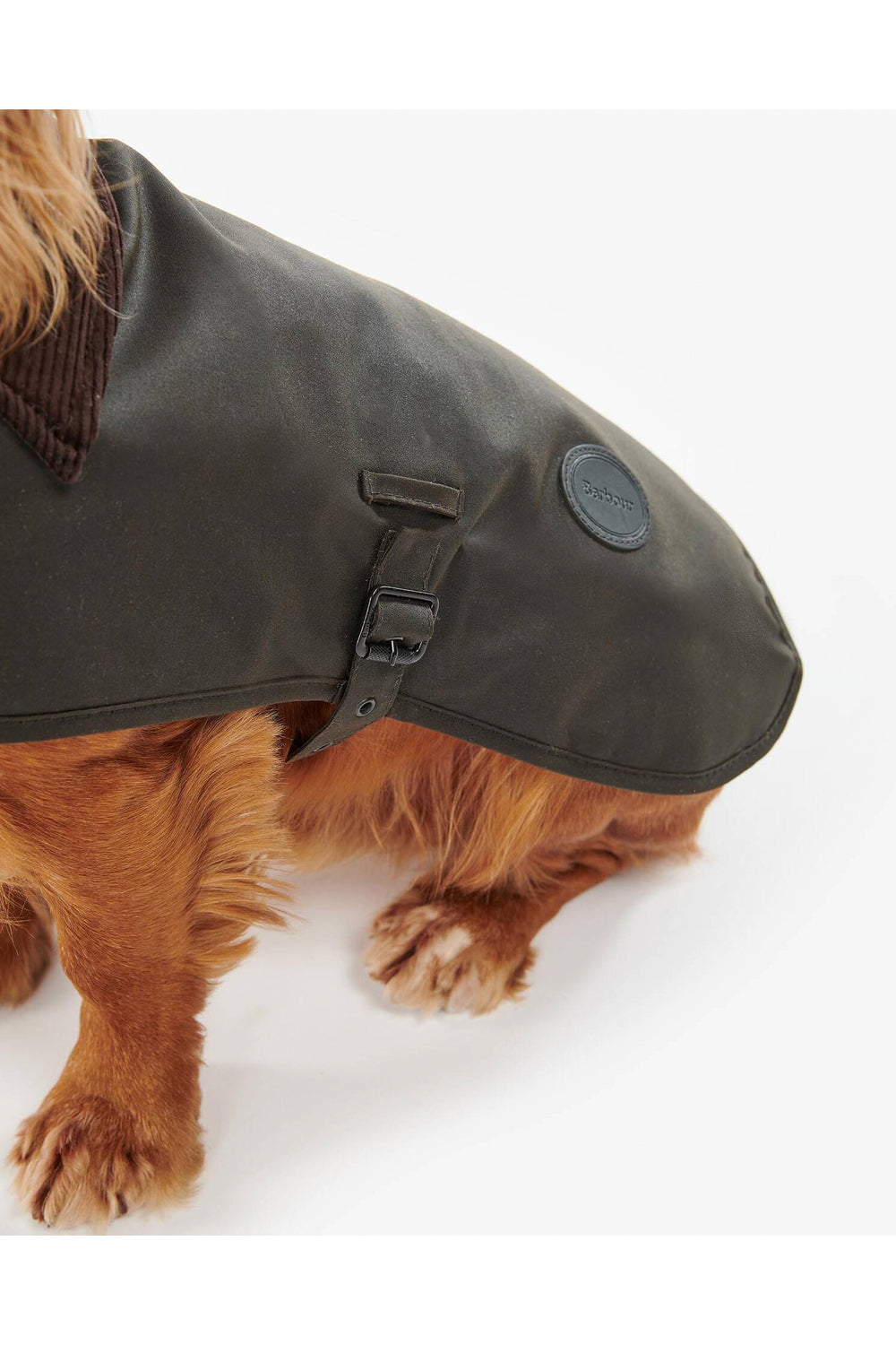 BARBOUR Cappotto per cani cerato