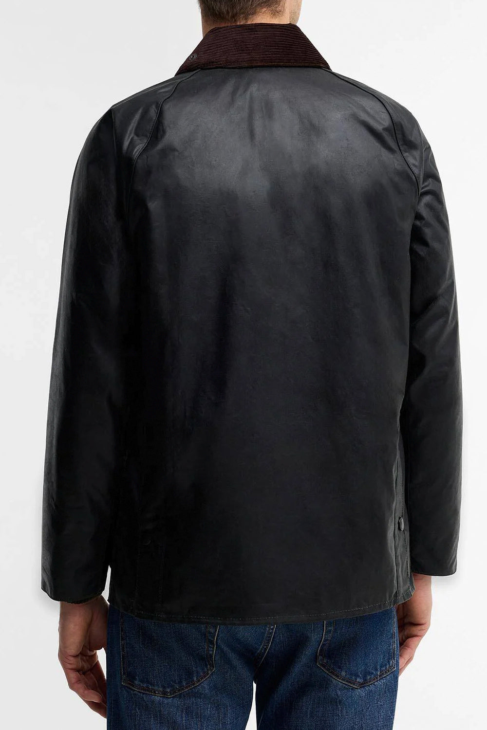 BARBOUR Giacca cerata Bedale