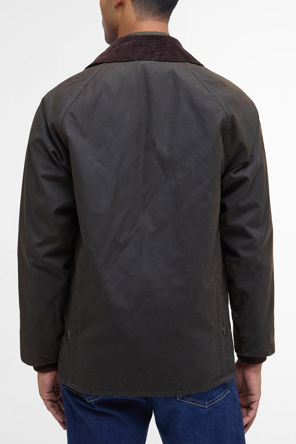 BARBOUR Giacca classica cerata Bedale