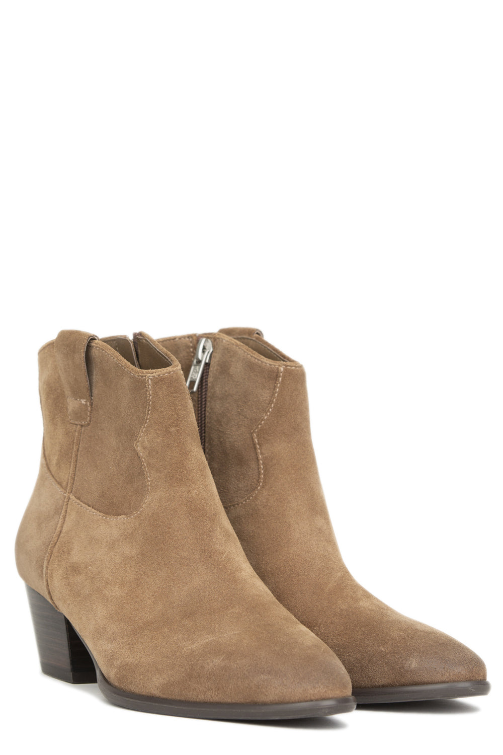 ASH Stivaletto Fame in pelle scamosciata