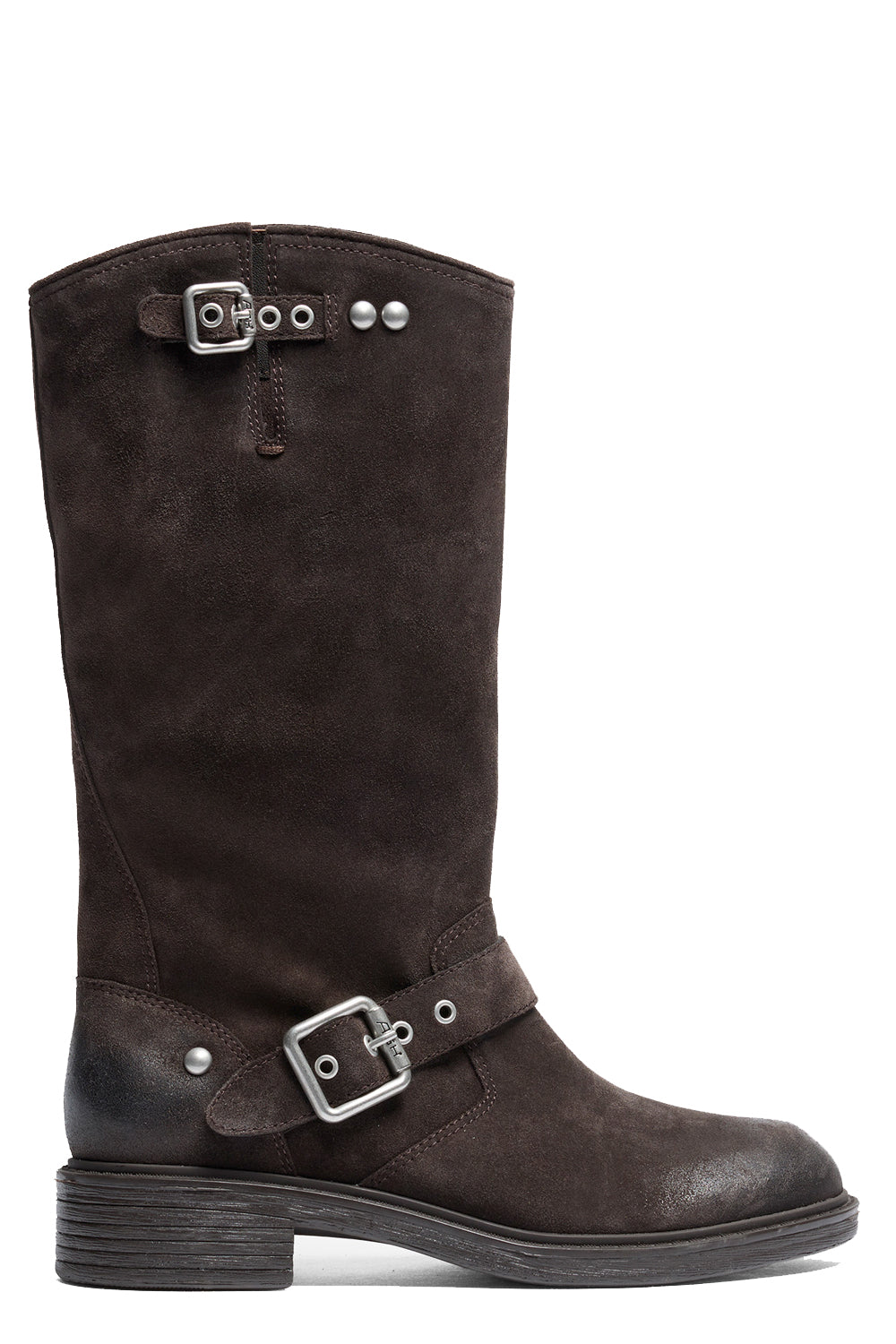 ASH Stivali Freesia in suede