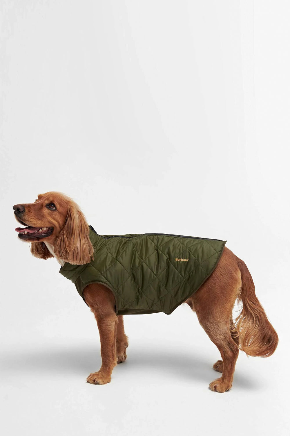 BARBOUR Cappottino trapuntato reversibile per cani