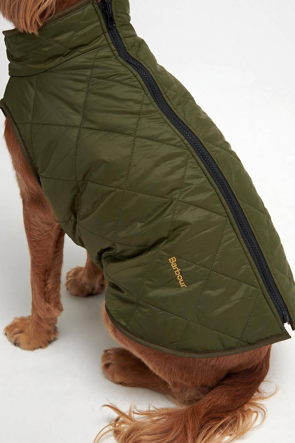 BARBOUR Cappottino trapuntato reversibile per cani