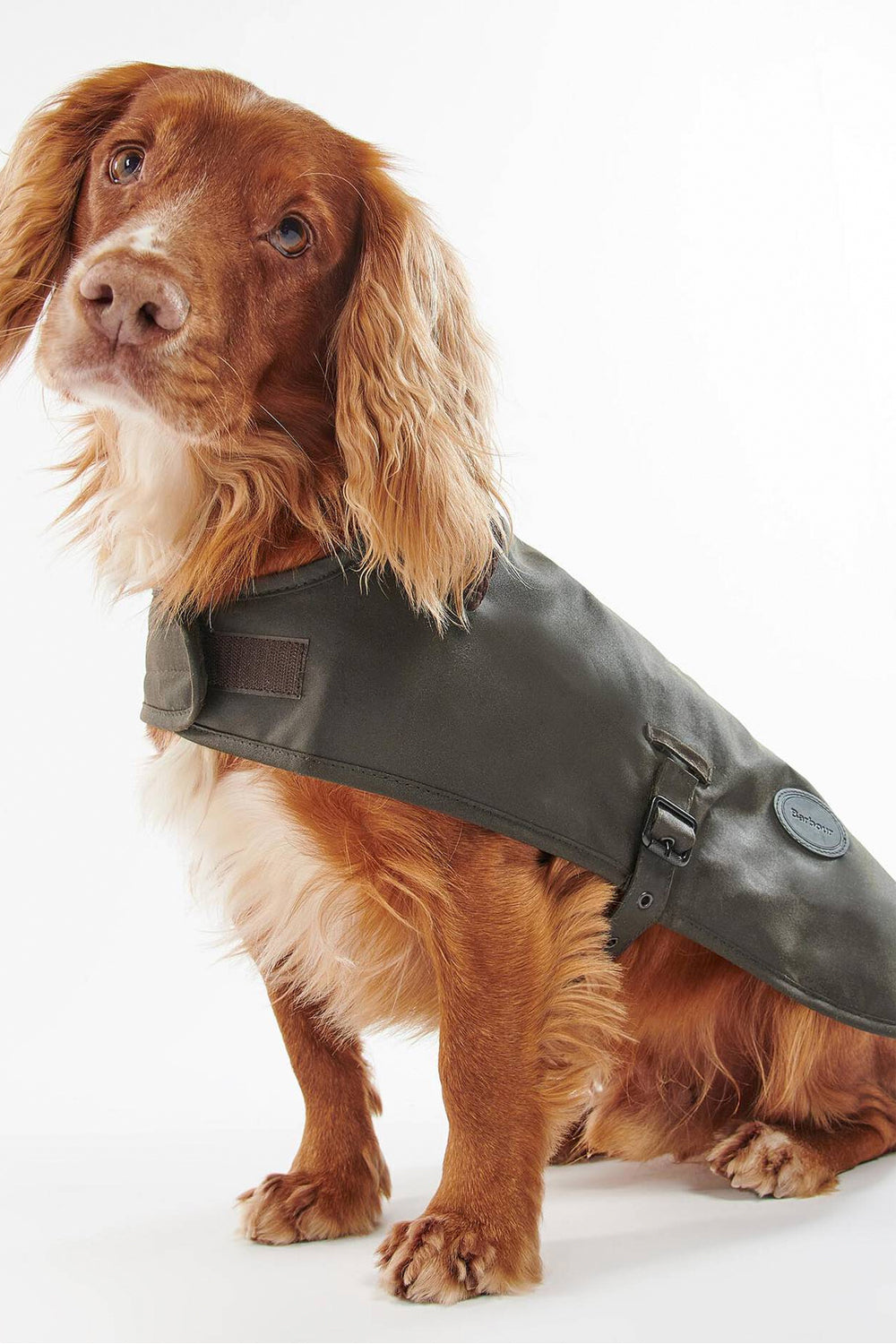 BARBOUR Cappotto per cani cerato