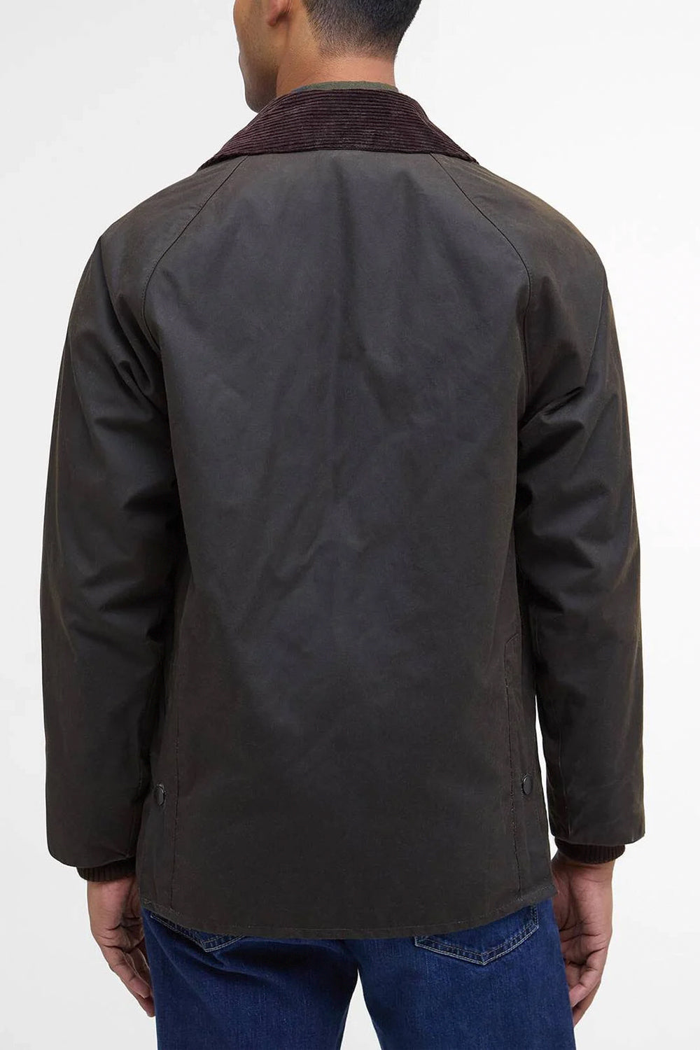 BARBOUR Giacca classica cerata Bedale
