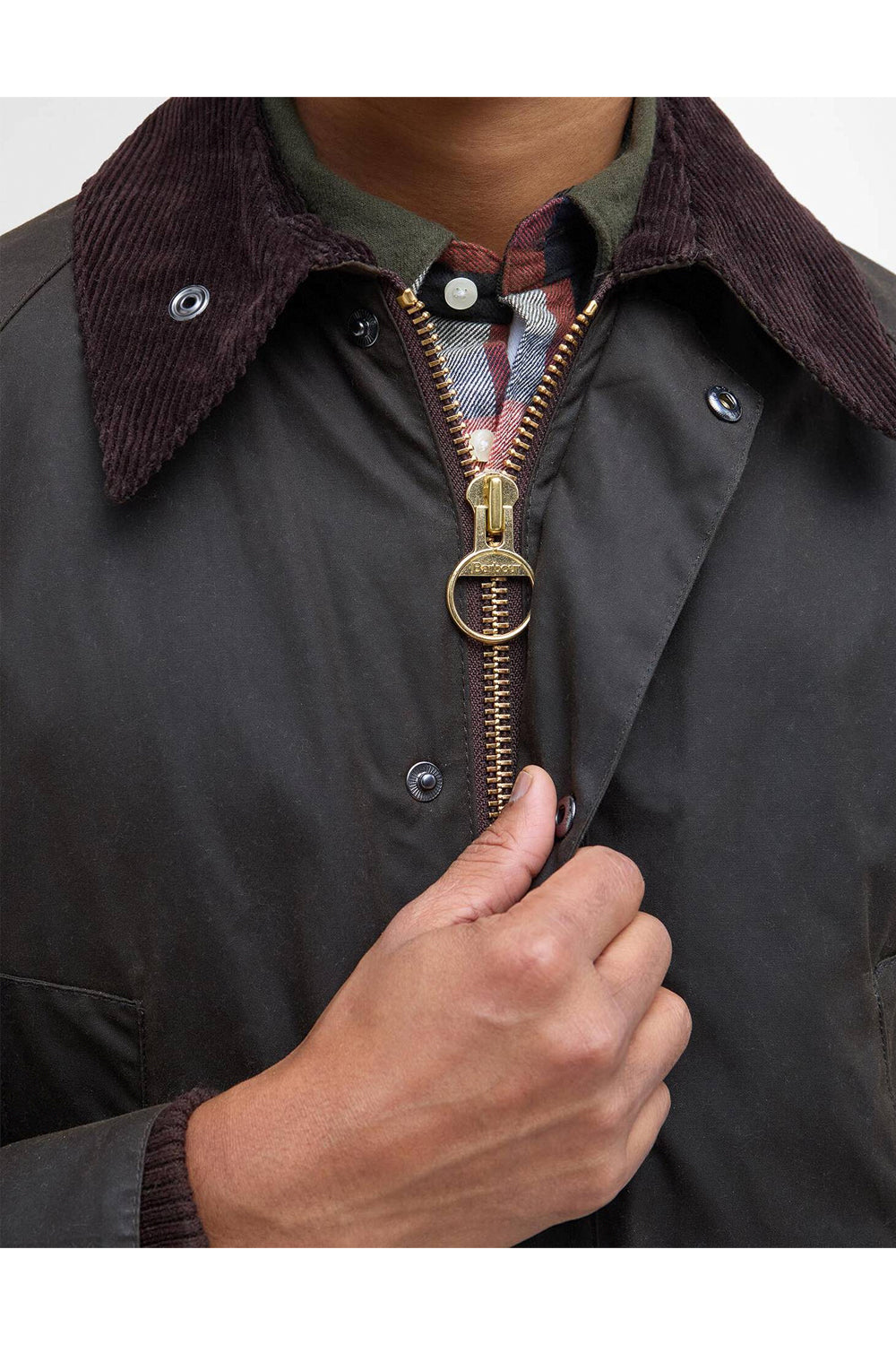 BARBOUR Giacca classica cerata Bedale