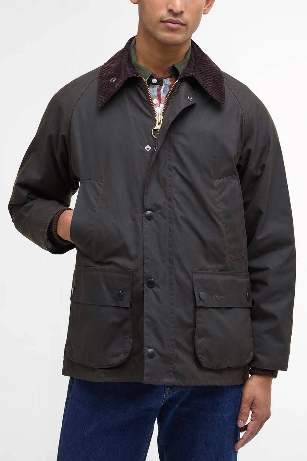 BARBOUR Giacca classica cerata Bedale