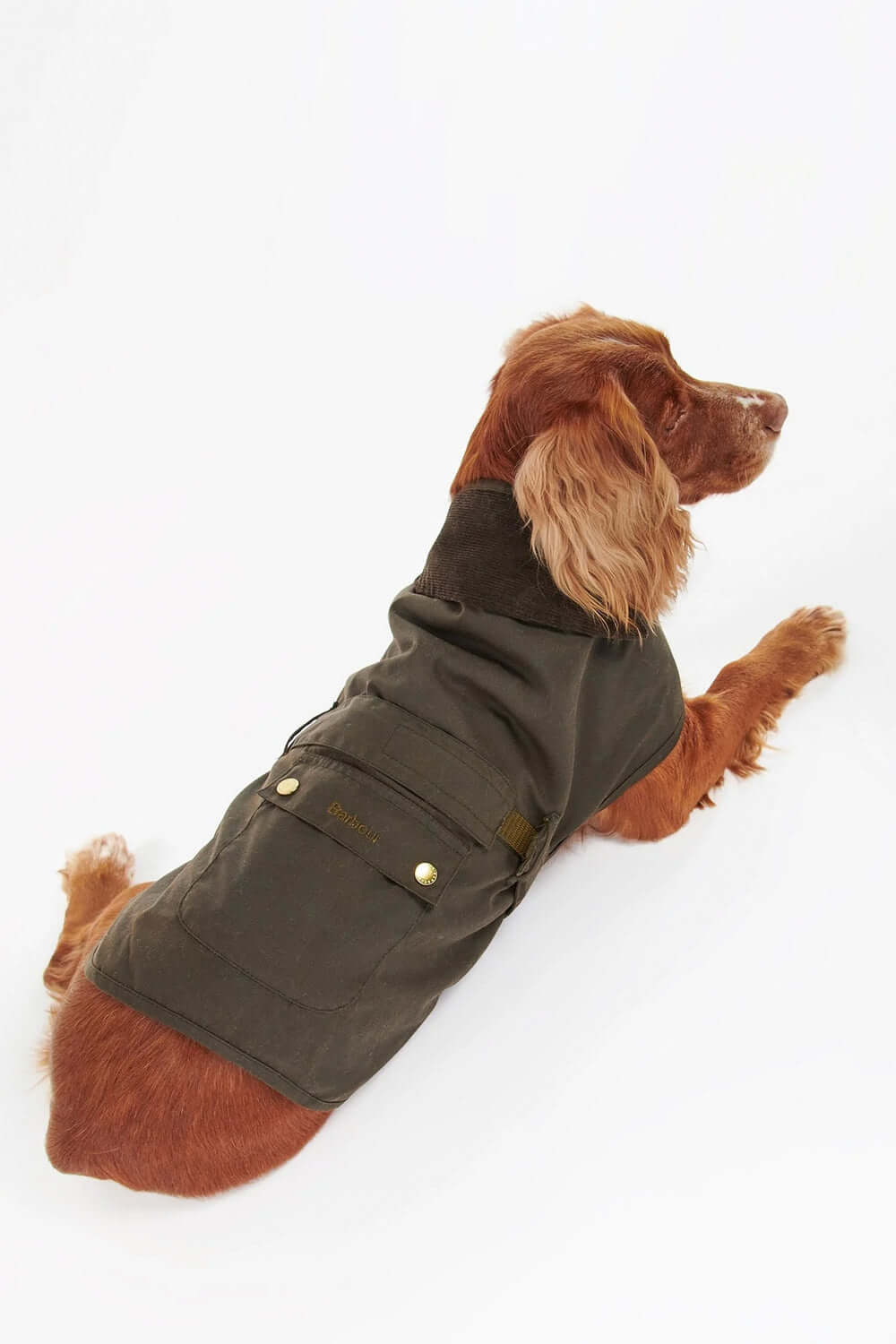 BARBOUR Cappotto per cani 2 in 1 cerato
