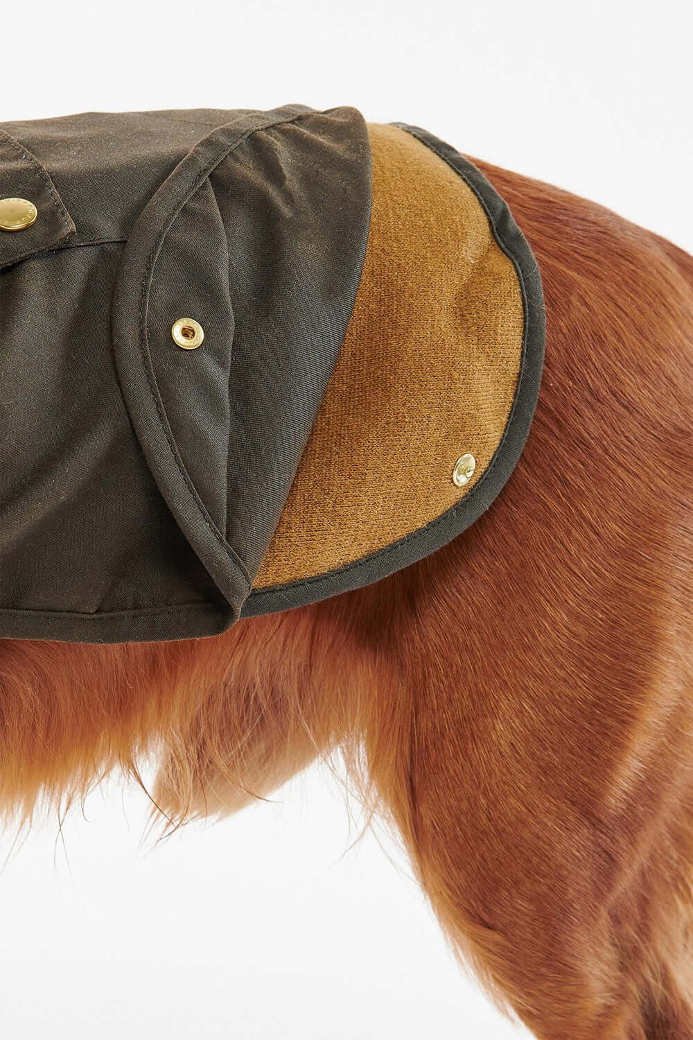 BARBOUR Cappotto per cani 2 in 1 cerato