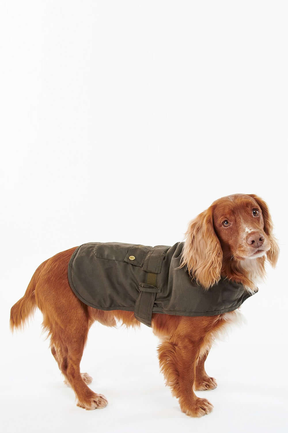 BARBOUR Cappotto per cani 2 in 1 cerato