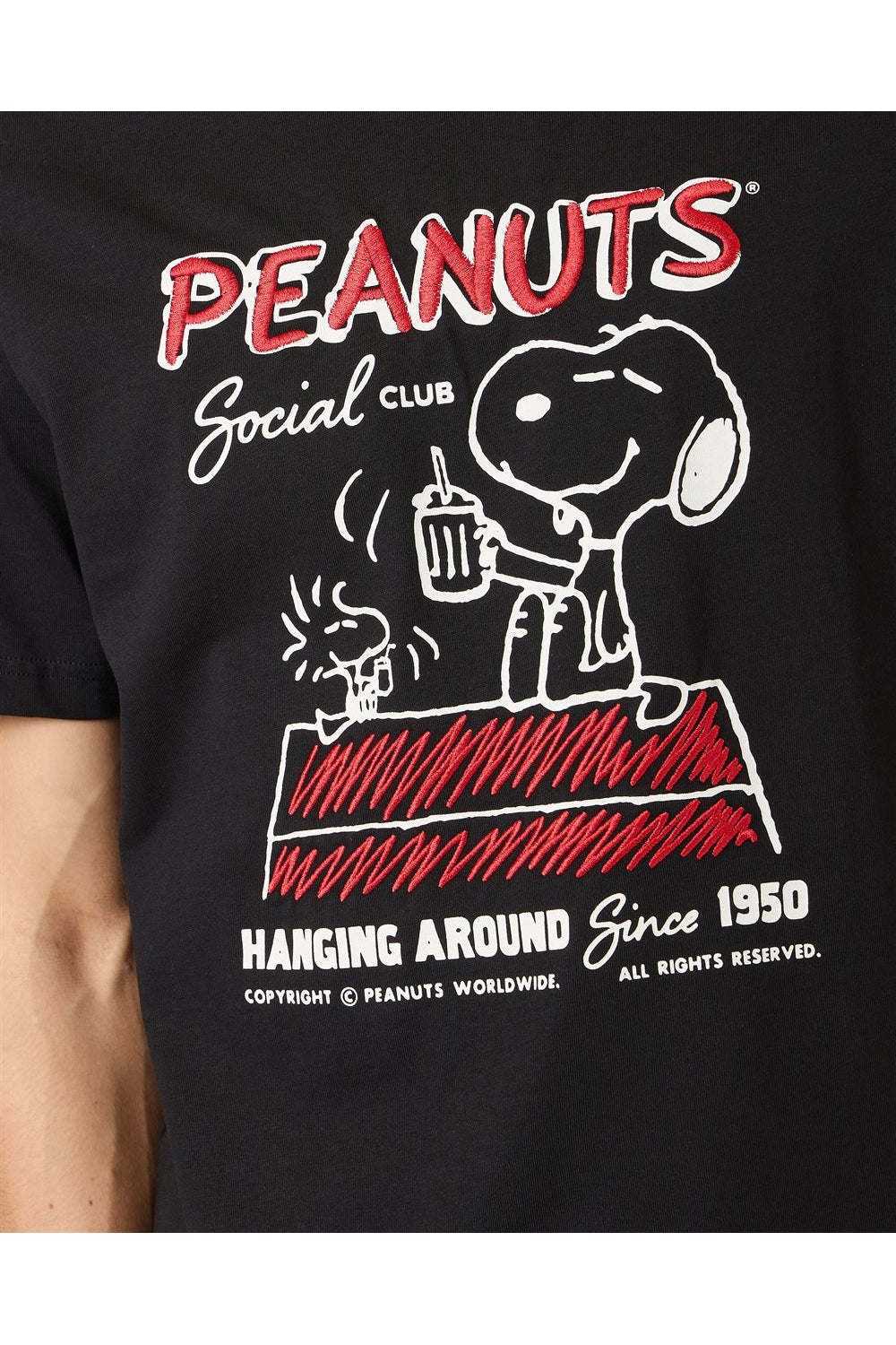 ICEBERG Tshirt in jersey regular fit con stampa Peanuts
